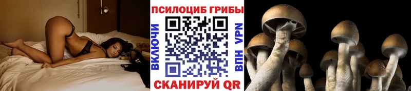 Купить где  Азов  Галлюциногенные грибы GOLDEN TEACHER 